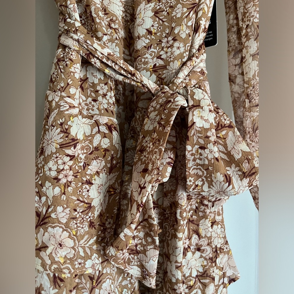 Express Ruffle Clip Dot Floral Dress
